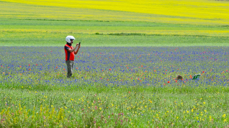 C'è Campo !!!!!!?????? di giuseppedangelo