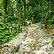 星巴克 淡水雲門門市