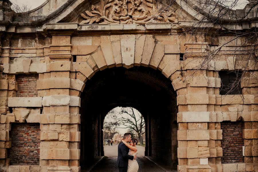 Fotografo di matrimoni Djordje Novakov (djordjenovakov). Foto del 14 febbraio