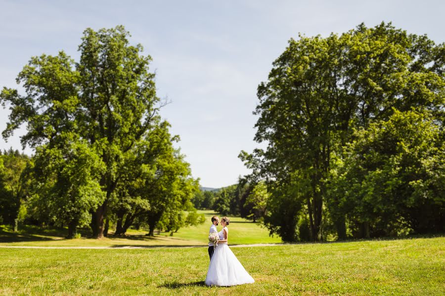 Photographe de mariage Petr Holusa (petrholusa). Photo du 22 février 2020