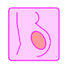 Pregnancy calculator icon