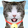 Cat Simulator icon