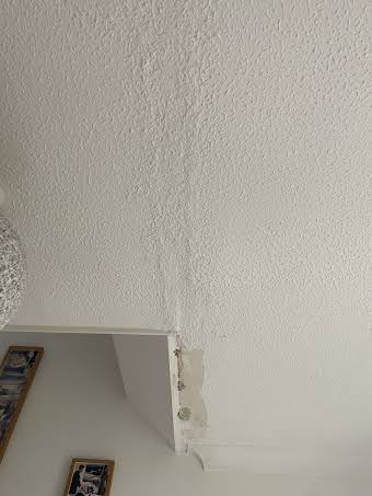 Artex ceiling album cover