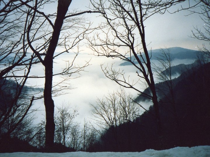 Sulla strada per Camaldoli di MARGIE