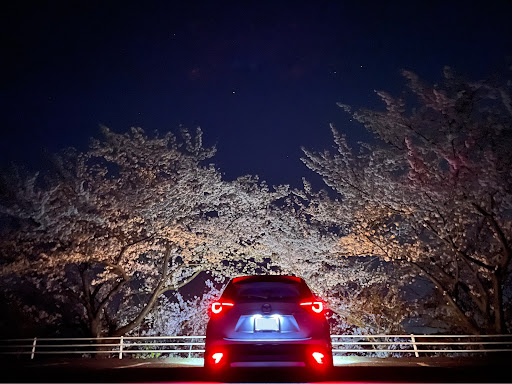 Cx 5 Keefwのcx 5 Workwheels 純ベタ Iphone12 Pro 夜桜に関するカスタム メンテナンスの投稿画像 車 のカスタム情報はcartune