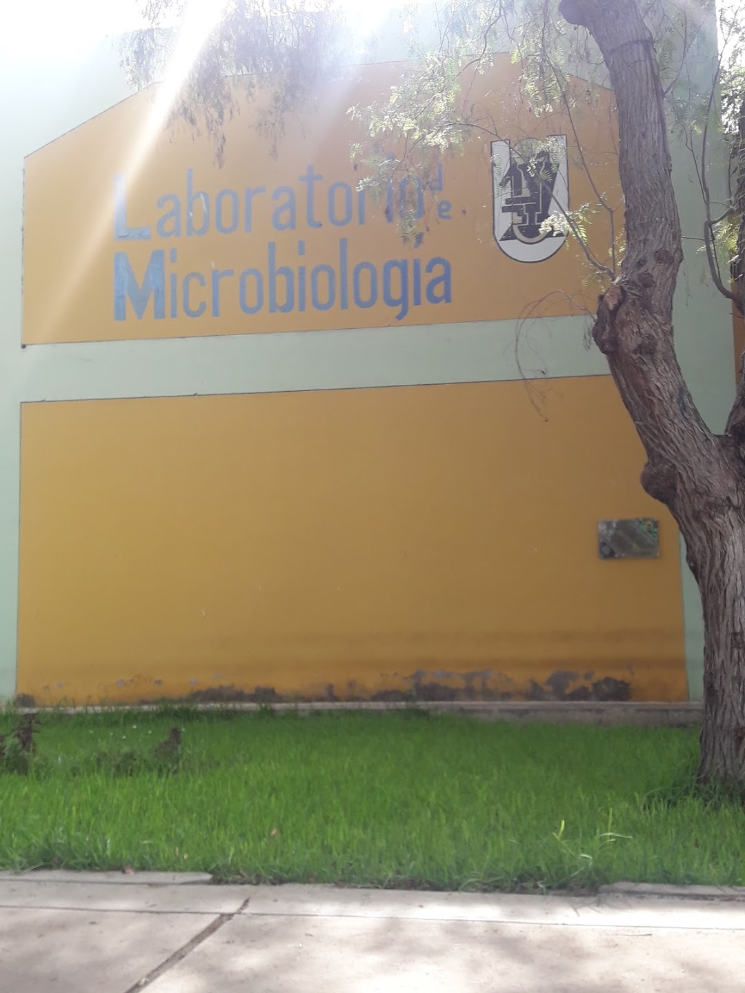 Microbiology Laboratories