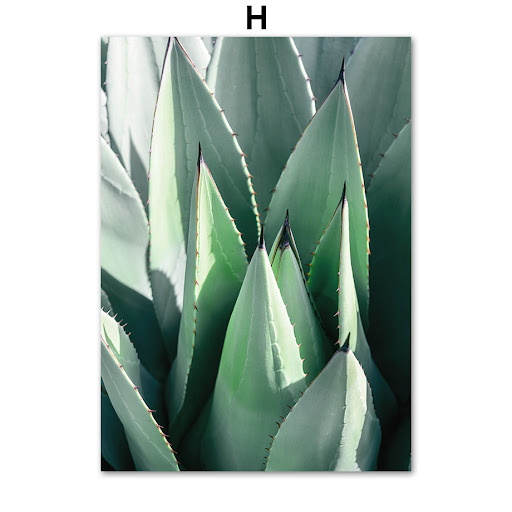 Title 7, Home bedroom interior decoration poster canvas ...