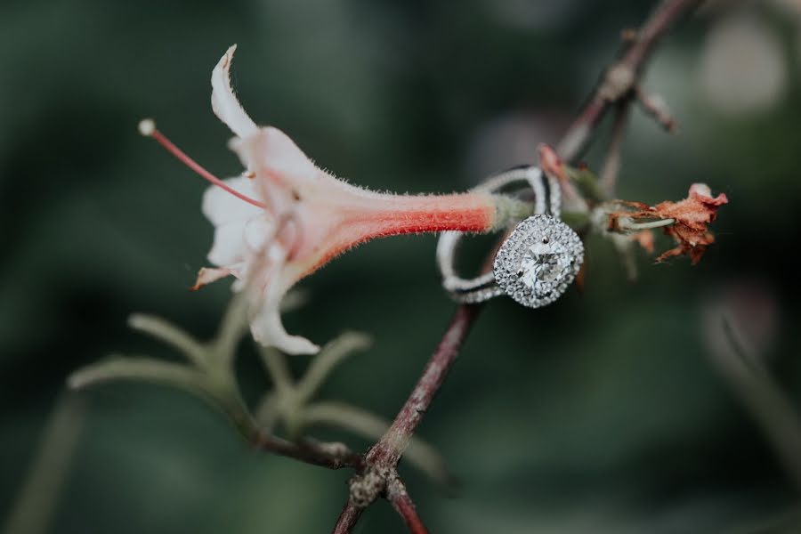 Photographe de mariage Christina Stirpe (christinastirpe). Photo du 27 avril 2023