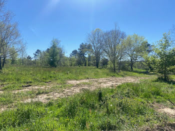 terrain à Maurens (24)