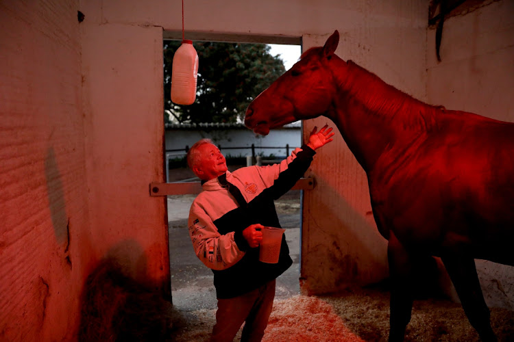 Horse trainer Michael Roberts,69, feeds See It Again at a stable in Summerveld Horse Training Centre.