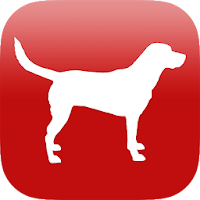 Scan Dog Breed Identifier