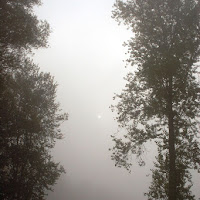 Nebbia sul fiume di 