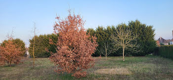 terrain à Leigné-les-Bois (86)