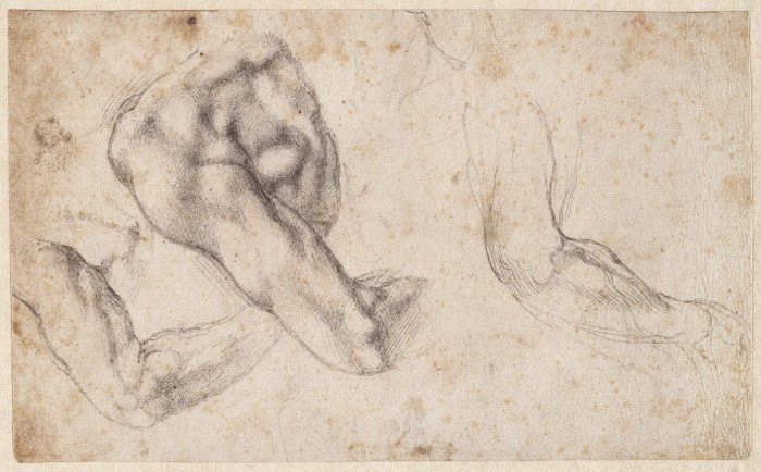 Michelangelo Buonarrotti, Studio per la scultura Giorno sulla tomba di Giuliano de 'Medici, Teylers Museum, Haarlem 