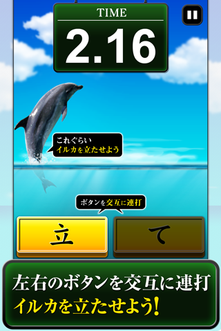 Can Dolphin Stand