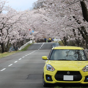 スイフトスポーツ ZC33S