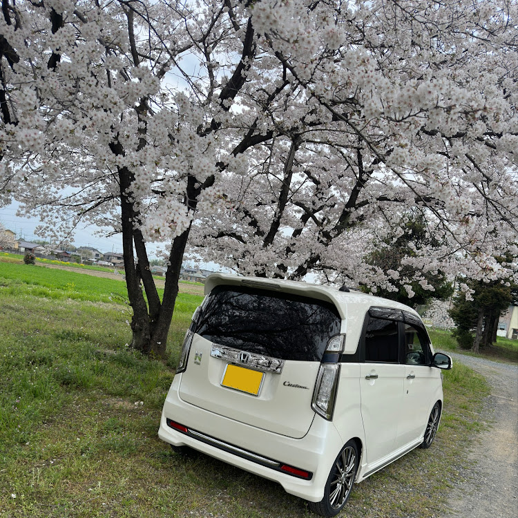 N-WGN カスタムのドライブ・サクラと愛車・ホイールお披露目・レオニスVXに関するカスタム事例の投稿画像4枚目