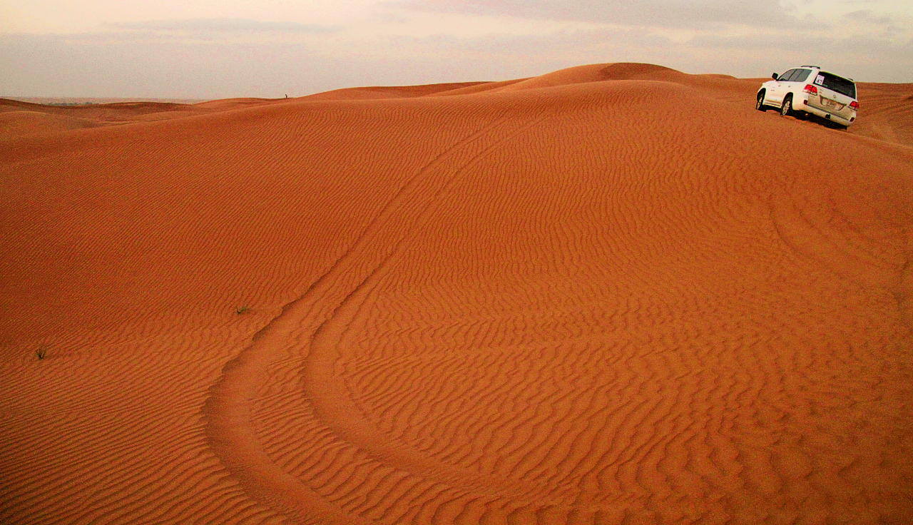 Safari tra le dune di Francesca Malavasi