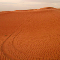 Safari tra le dune di Francesca Malavasi