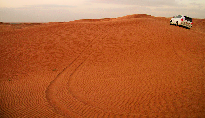 Safari tra le dune di Francesca Malavasi