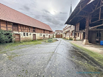 maison à Niederschaeffolsheim (67)