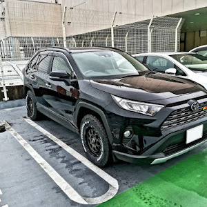 RAV4 MXAA54