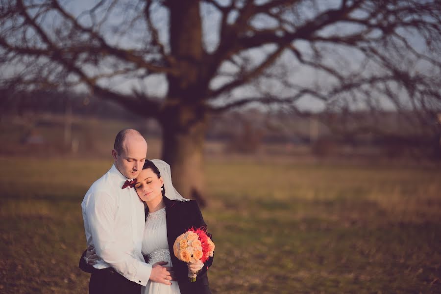 Fotografo di matrimoni Aleksandr Tegza (sanyof). Foto del 3 marzo 2014