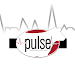 The Pulse by Sullivan Supply APK