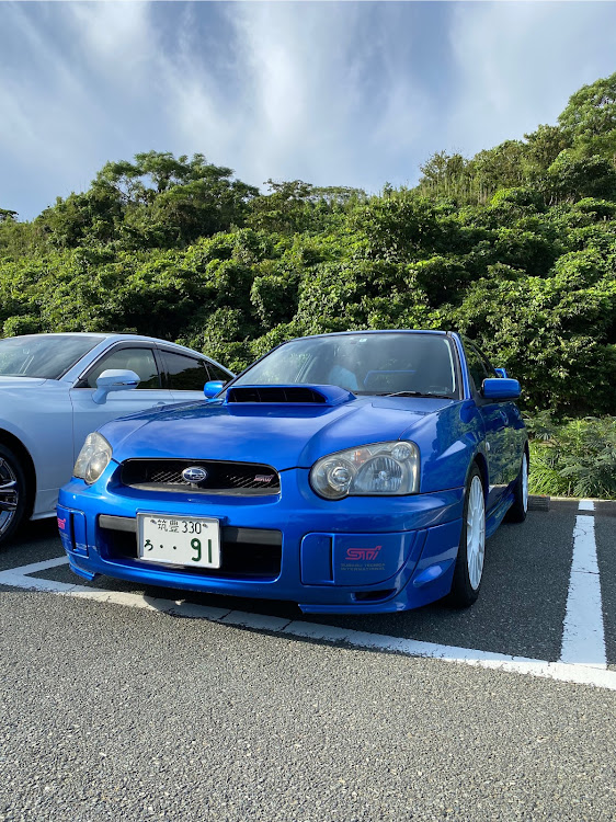 WRX GDA GDB インプレッサ マッドガード 涙目用-