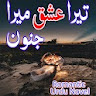 Tera Ishq Mera Junoon - Novel icon