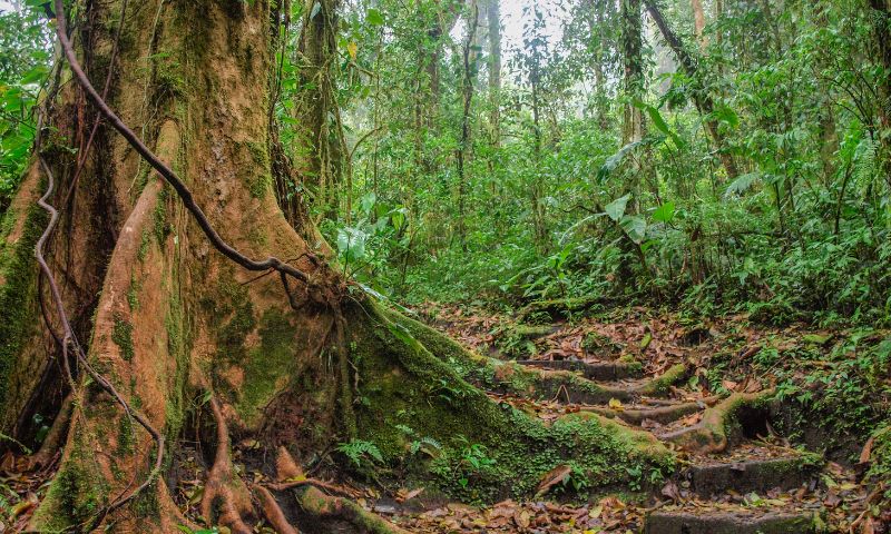 Monteverde, Costa Rica