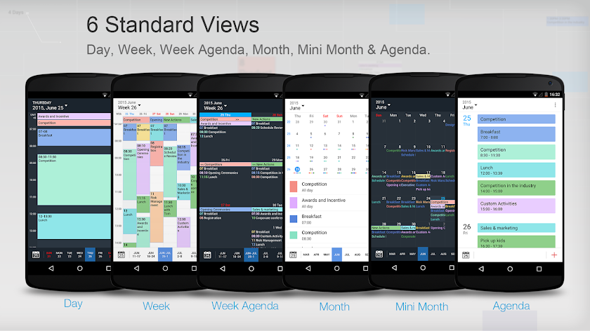 Tiny Calendar Pro Screen 2