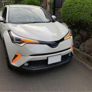 C-HR ZYX10