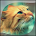 Cat Gallery icon