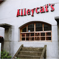 Alleycat's Pizza 巷貓餐廳(華山店)