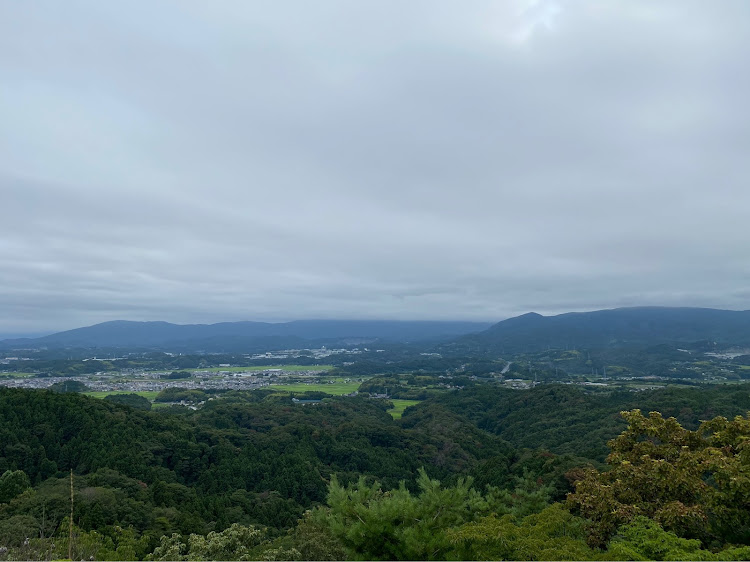 の投稿画像19枚目