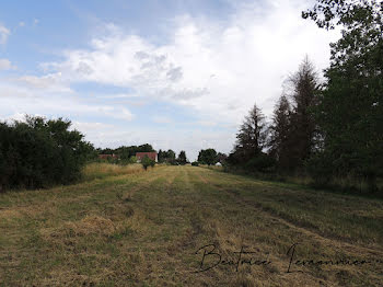 terrain à Vrigny (45)