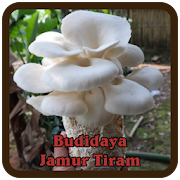 Budidaya Jamur Tiram 1.0 Icon