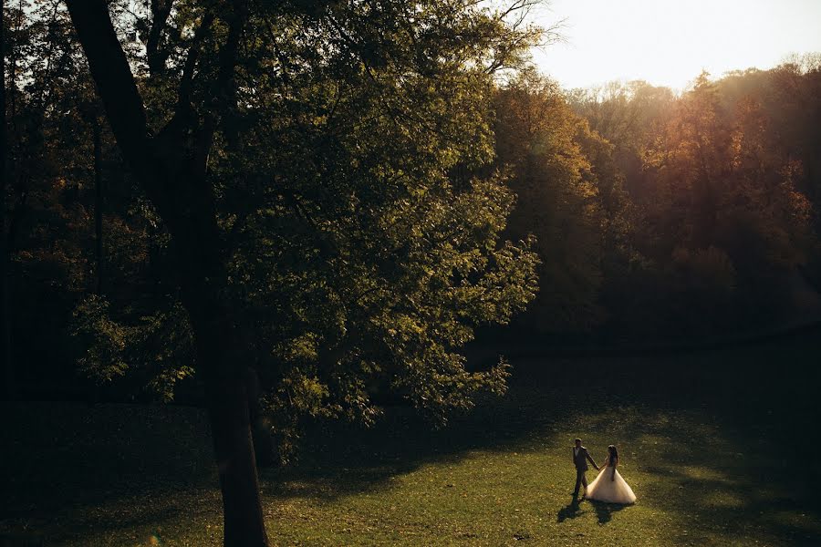 Photographe de mariage Dmitriy Babin (babin). Photo du 21 février 2020