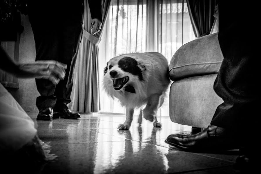 Fotografo di matrimoni Andrea Mormile (fotomormile). Foto del 7 giugno 2018