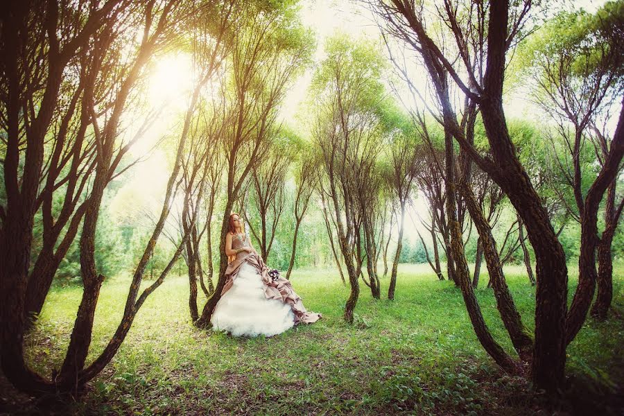 Esküvői fotós Aleksey Kitov (akitov). Készítés ideje: 2013 augusztus 25.