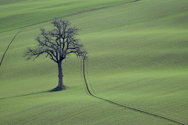 solitario di s_ornella