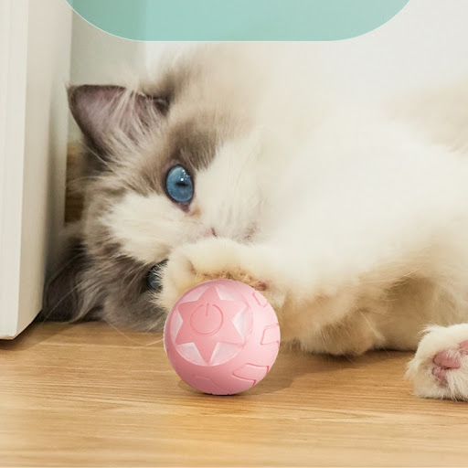 miniatures image - 9