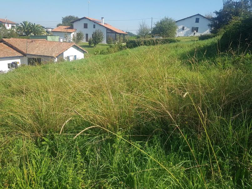 Vente terrain à batir  1000 m² à Saint-Pierre-d'Irube (64990), 297 000 €