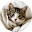 Cute Cats & Kittens Wallpaper