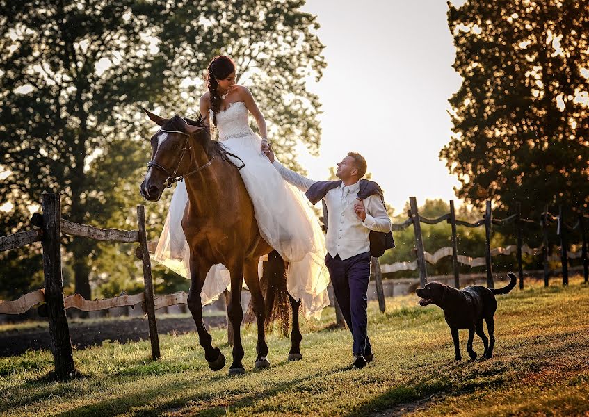 Photographe de mariage Béla Molnár (belamolnar). Photo du 30 octobre 2019