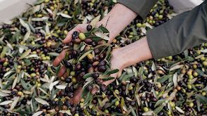 Olive Oil thumbnail