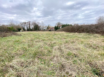 terrain à Noaillan (33)