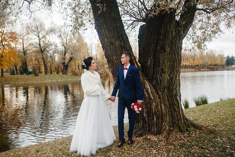 Wedding photographer Alena Evdokimova (elen665). Photo of 13 December 2018