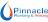 Pinnacle Plumbing & Heating Solutions Ltd Logo